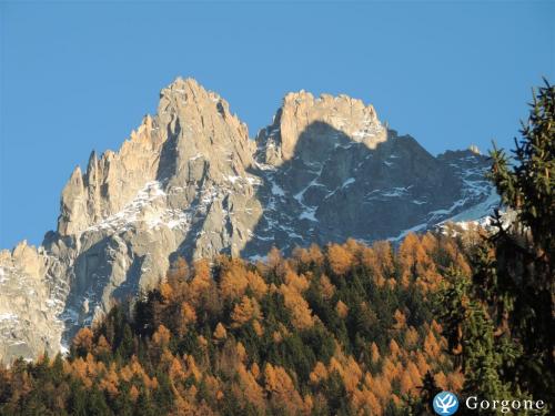Photo n°9 de :Appart. T2 vue Mont-Blanc 1 - 4 pers Chamonix