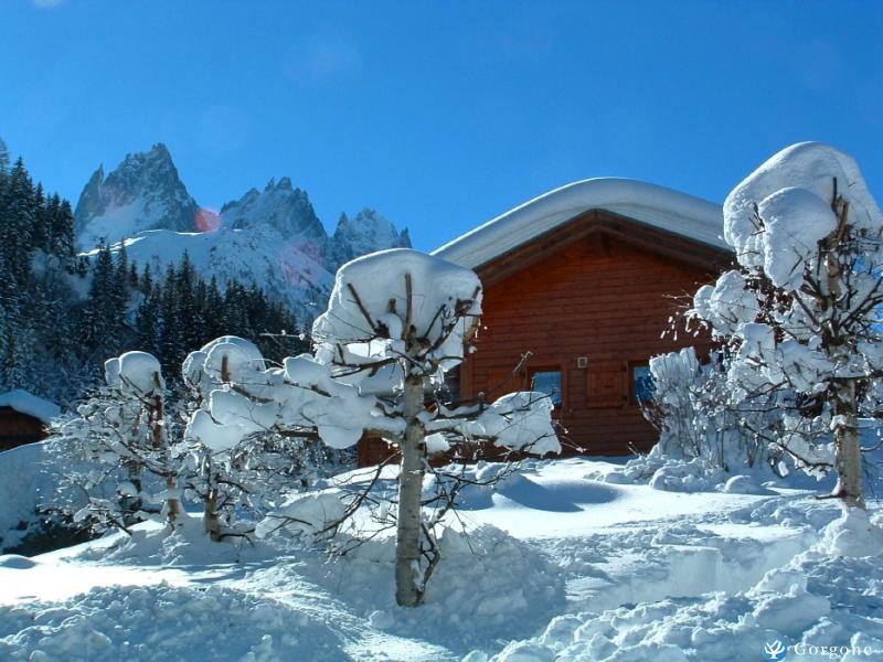 Photo n°2 de :Joli petit chalet en bois