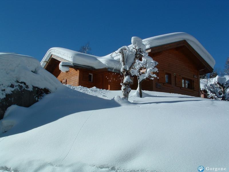 Photo n°7 de :Joli petit chalet en bois